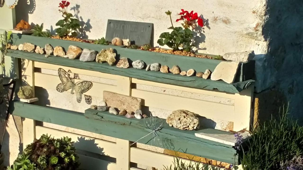 Bed and Breakfast La Pause - Val De Loire Chabris Екстер'єр фото