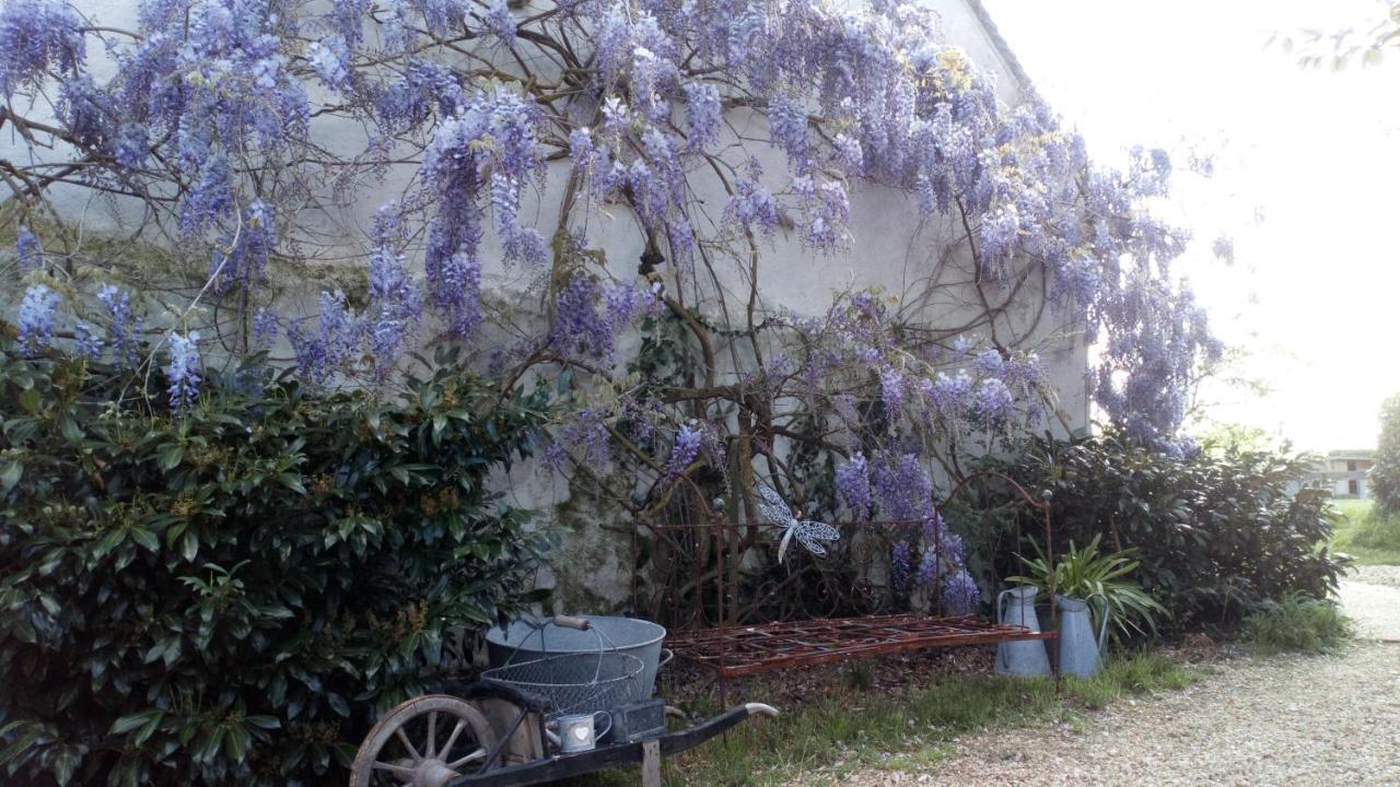 Bed and Breakfast La Pause - Val De Loire Chabris Екстер'єр фото