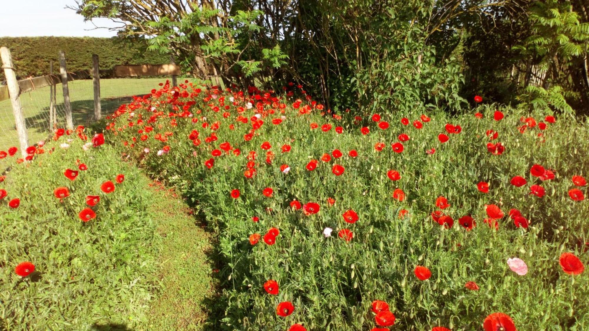 Bed and Breakfast La Pause - Val De Loire Chabris Екстер'єр фото