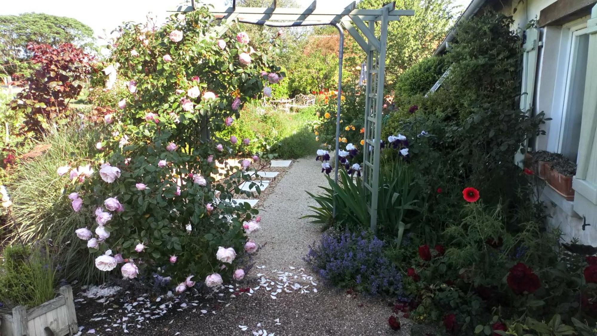 Bed and Breakfast La Pause - Val De Loire Chabris Екстер'єр фото