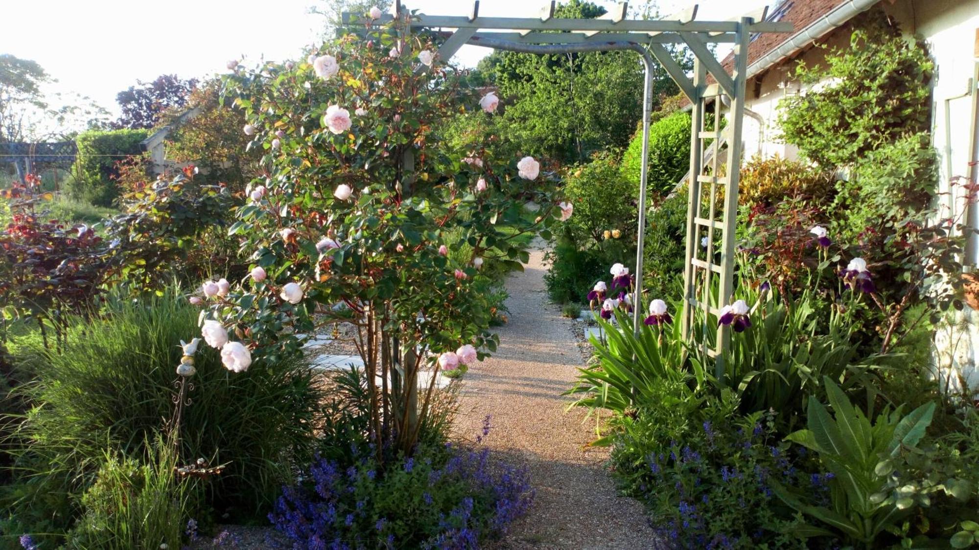 Bed and Breakfast La Pause - Val De Loire Chabris Номер фото